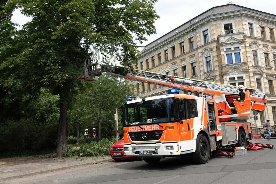 Im Leipziger Osten war bereits ein Ast herabgestürzt, die Feuerwehr ließ kontrolliert weitere Zweige folgen.