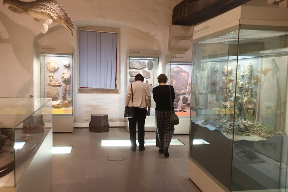 Der Fragebogen für das Schlaumeierquiz kann am Eingang des Museums abgeholt werden.