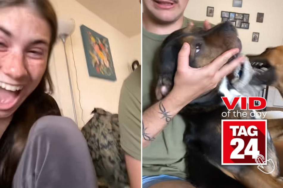 viral videos: Viral Video of the Day for May 21, 2023: Dog puts in Oscar-worthy acting performance