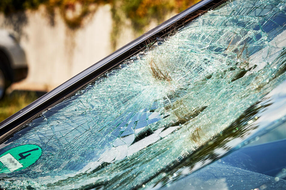 Bei dem Crash krachte das Mädchen auf die Windschutzscheibe des Mercedes, verlor dabei eine Haarsträhne.
