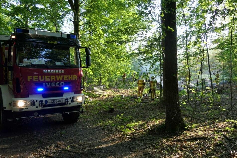 Glücklicherweise konnte die Feuerwehr die Lage auch diesmal schnell unter Kontrolle bringen.