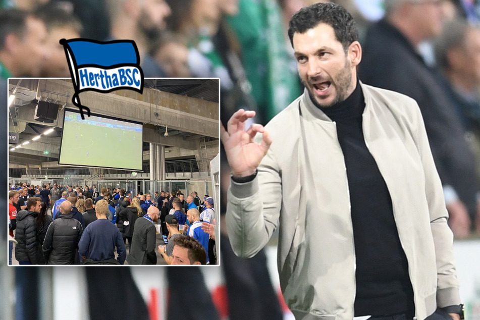 Fan-Chaos bei Hertha-Pleite, Bierbecher-Wurf auf Schwarz: "Das ist asozial, feige"