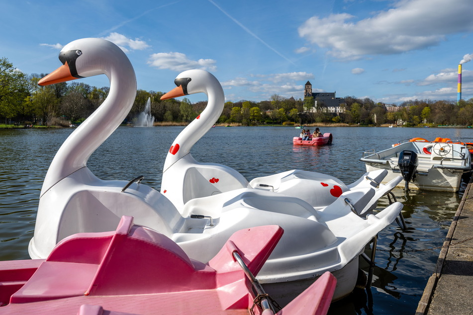 Wer mal wieder Tretboot fahren möchte, ist an der Gondelstation am Chemnitzer Schlossteich richtig.