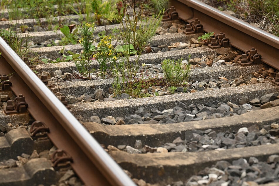 Die Infrastruktur in Oberbayern wird vom Fahrgastverband als kritisch beurteilt. (Symbolbild)