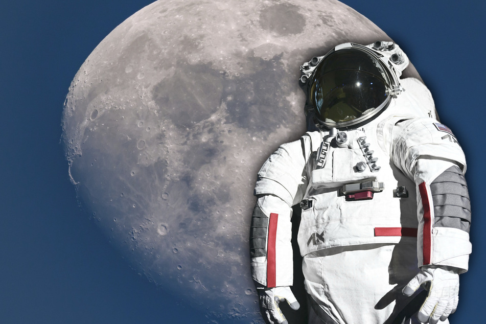 Moon has a disgusting problem: who will rid the planet of excrement and vomit?