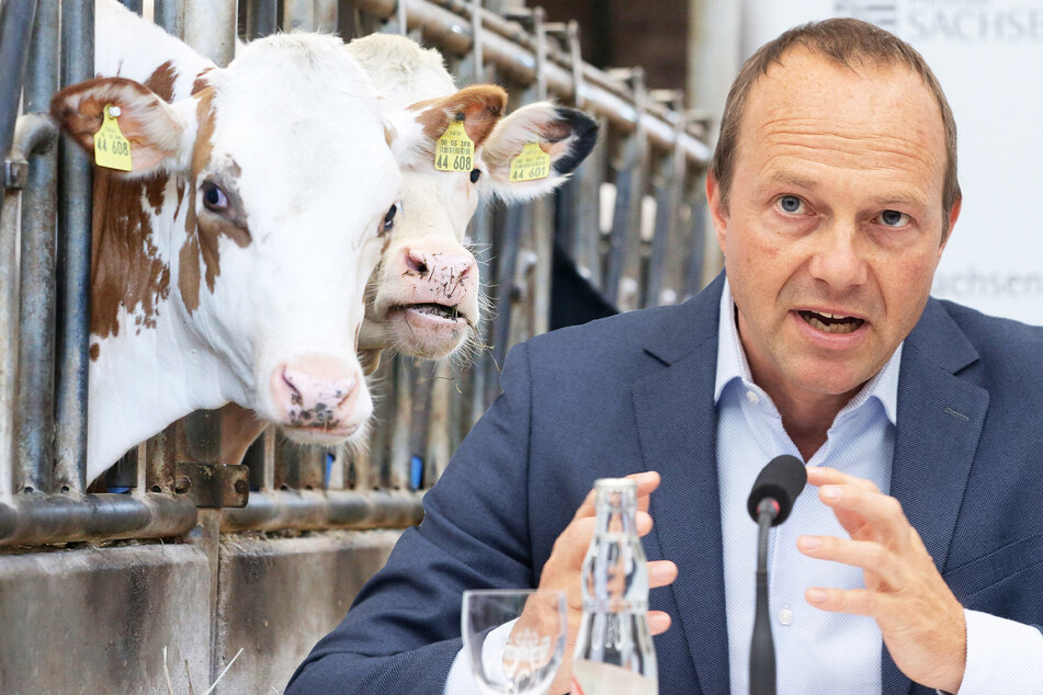 Umweltminister Günther fordert Trendwende in der Landwirtschaft