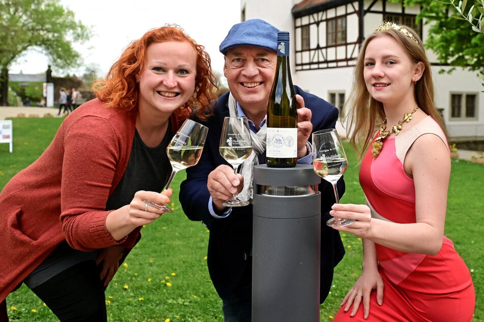 Abfüllung läuft! Auf Hoflößnitz kommt der Wein in 120.000 Flaschen