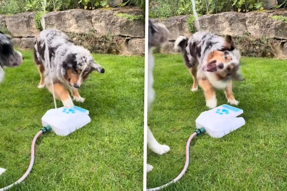 Holly und Peaches hatten viel Spaß mit dem Wasserspritzgerät.