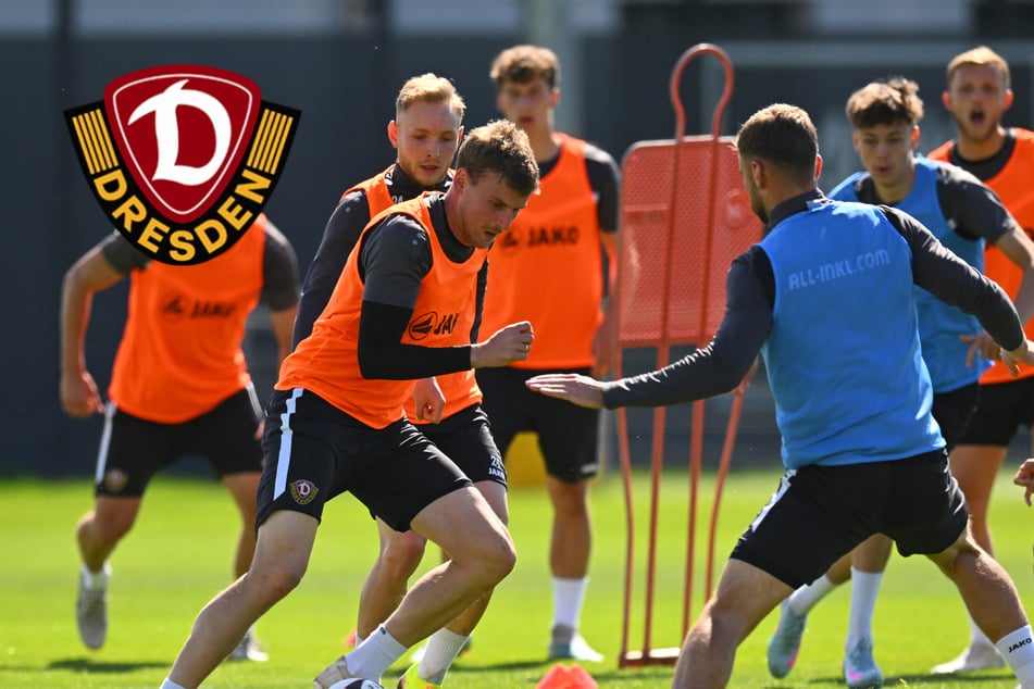 Dynamos Sommerfahrplan da! Diese Besonderheit gibt es beim Trainingsauftakt der SGD