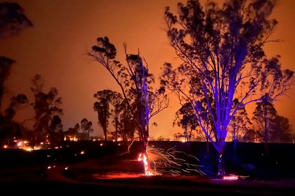 Feuerschneisen und meterhohe Rauchsäulen: Buschbrände vernichten Tausende Hektar Land