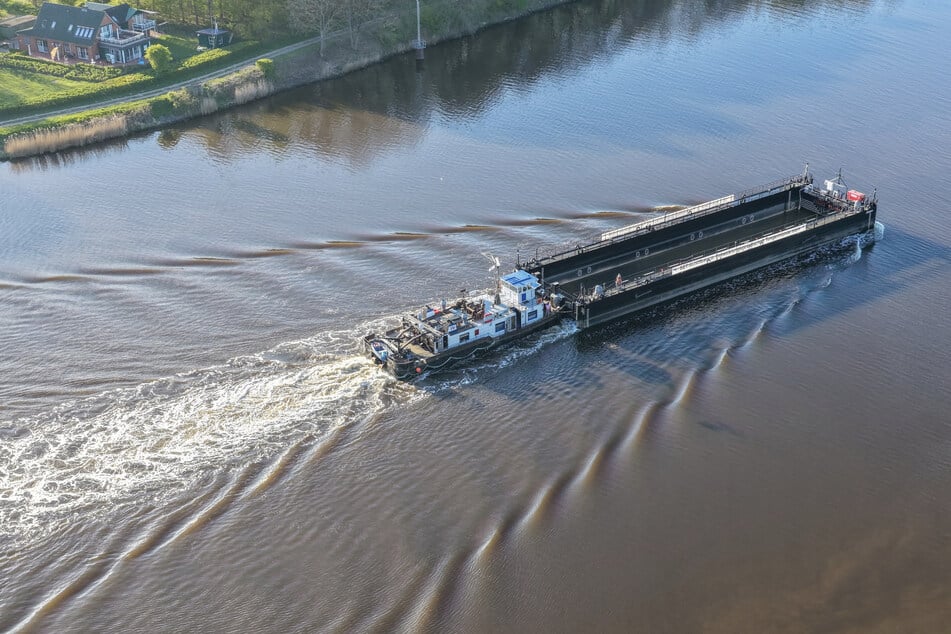 Bringt ein Transportschiff aus der Altmark die Rettung für Wal "Timmy"?