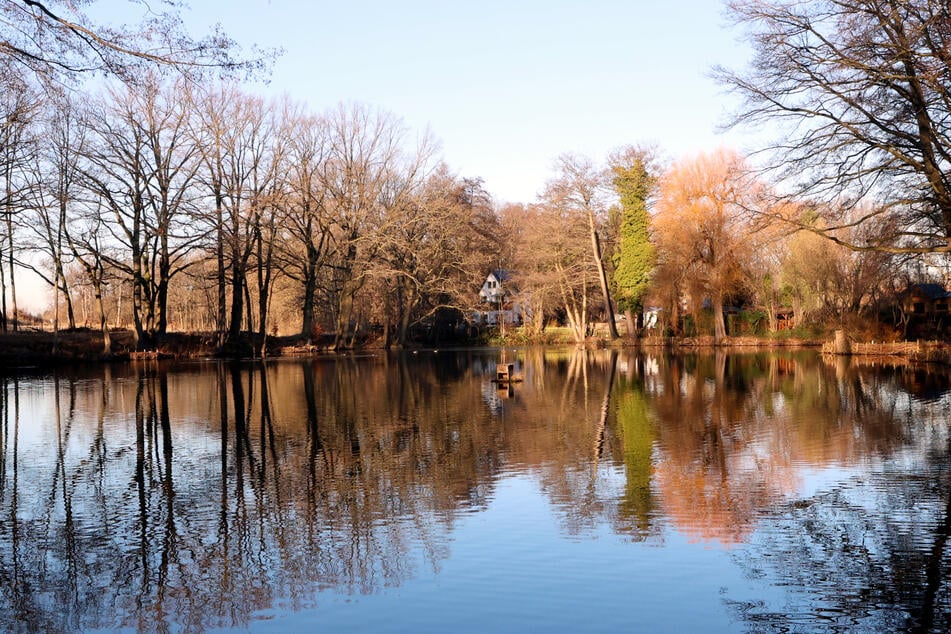 Angeln verboten: Ein Kilogramm Fisch aus dem Ziegeleiteich überschreitet nach Angaben der Stadt die empfohlene wöchentliche PFAS-Aufnahmemenge um das 1300-Fache.