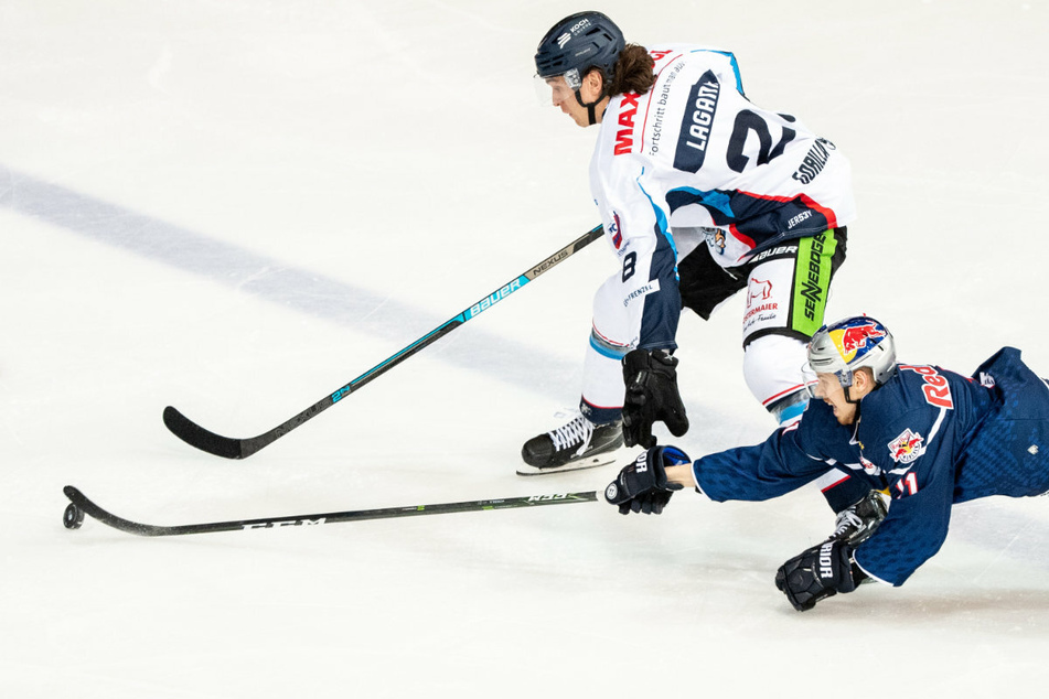Wegen mehrerer positiver Corona-Fälle bei den Münchnern (blaues Trikot) wird die DEL-Partie gegen die Straubing Tigers (weißes Trikot) verschoben. (Archiv)