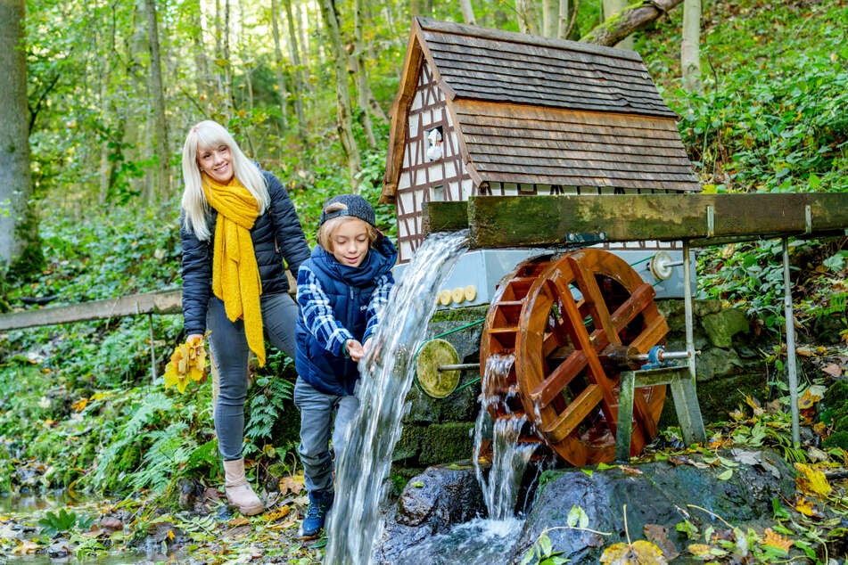 Im Märchenwald Wünschendorf setzt das Wasser des Kamnitzbaches zahlreiche Märchenfiguren in Bewegung.