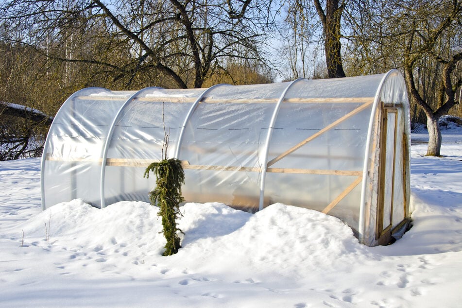 Statt leer zustehen, kann man das Gewächshaus im Winter nutzen, um Wäsche zu trocknen oder Geräte zu lagern.