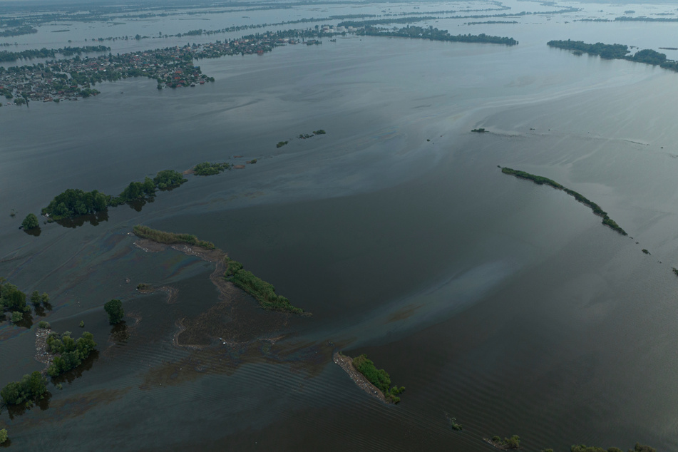 Die Zerstörung des Kachowka-Damms und das Auslaufen des Sees im Süden der Ukraine haben auch Naturschutzgebiete schwer getroffen.