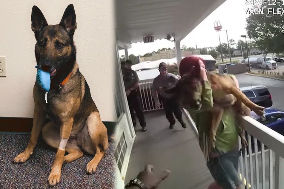 Florida woman arrested after throwing her dog off a balcony!