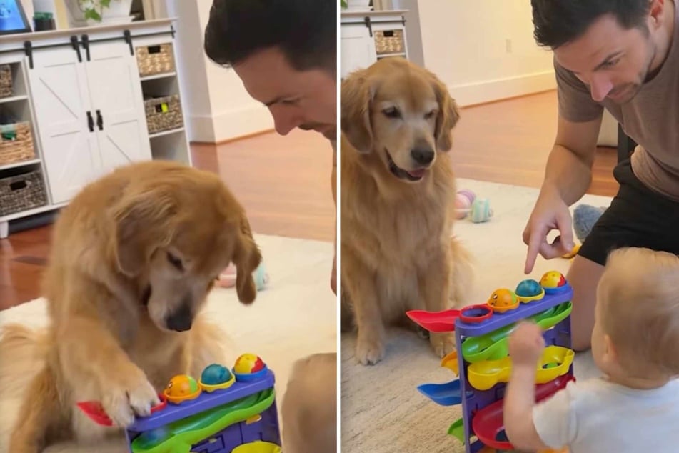 Baby boy Connor is still learning how the world works. Thankfully, he has his loyal dogs Emma and Ellie at his side to teach him how things are done.