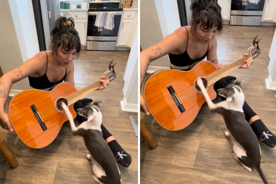 Leman the dog plays the guitar with her owner, Olivia, in a series of viral TikToks.