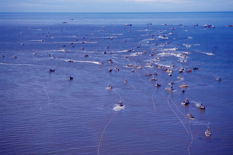 Commercial salmon boats are seen fishing off Egegik, Bristol Bay, Alaska, as many Indigenous subsistence fishers see their access increasingly restricted.