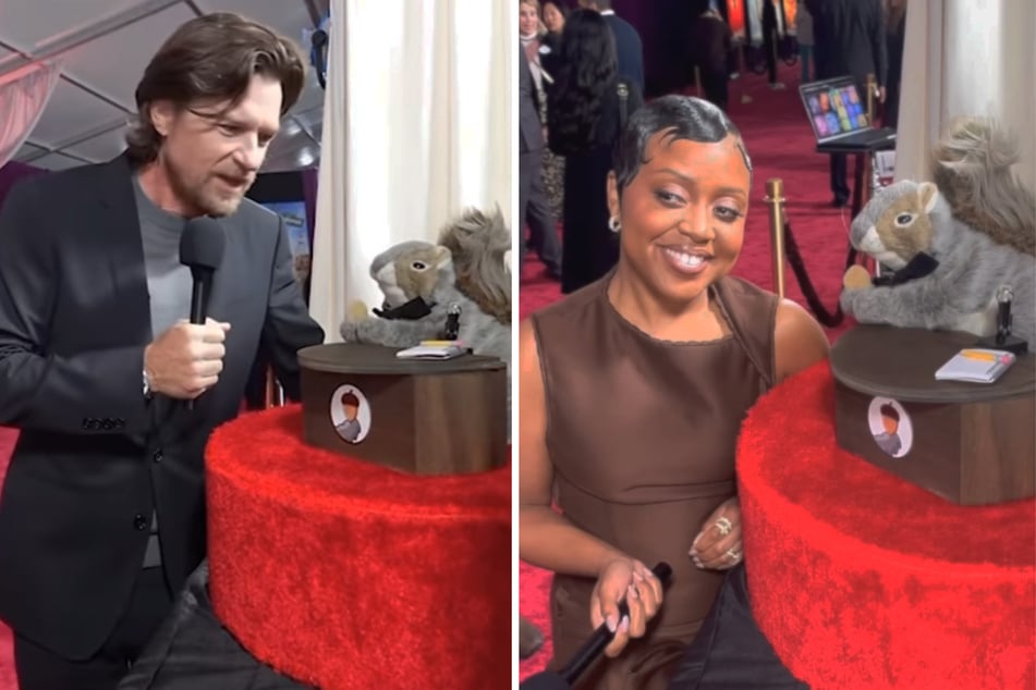 Von Instagram auf den roten Teppich: Das wohl berühmteste Plüsch-Eichhörnchen der Welt