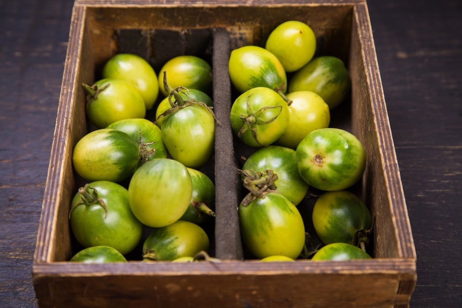 Der Tomatenstrunk darf beim Ernten gern an den Tomaten bleiben.