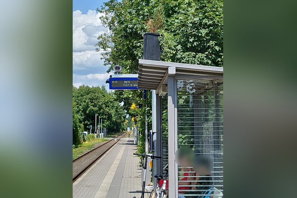 Der Pflanzenkübel wurde wohl gestohlen.