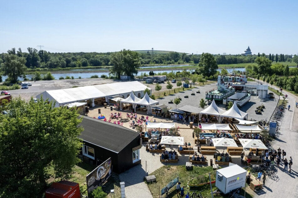 Das Sommerkino findet in diesem Jahr im Café Treibgut genau an der Elbe statt.