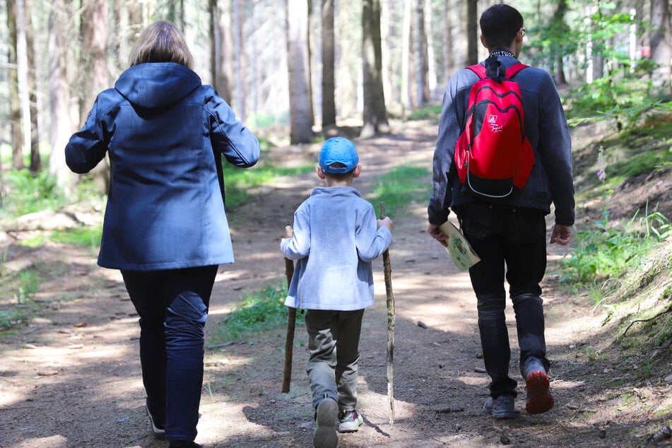Fünf Wandervereine bieten coole Routen bei der 7. Sternwanderung an.