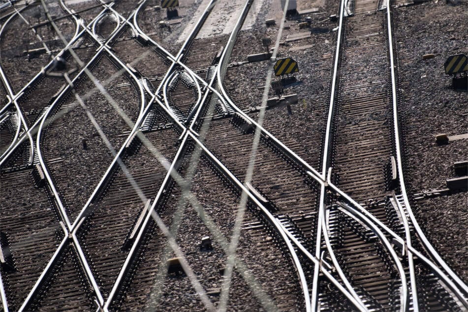 Tierischer Ausreißer sorgt für Bahnstörungen und Ausfälle