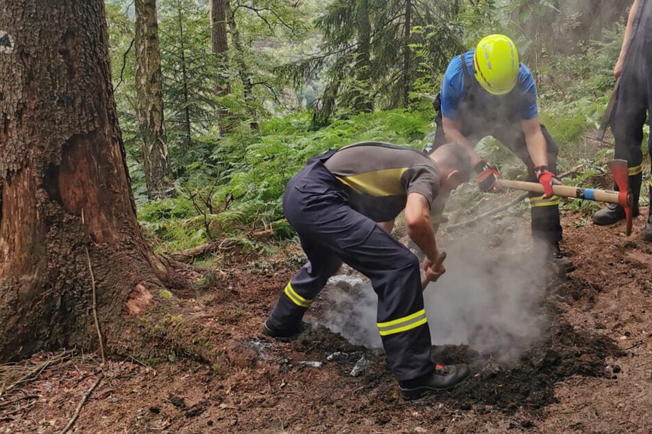 Ausgerechnet zum Jahrestag der Waldbrände: Feuerstelle im Nationalpark entdeckt