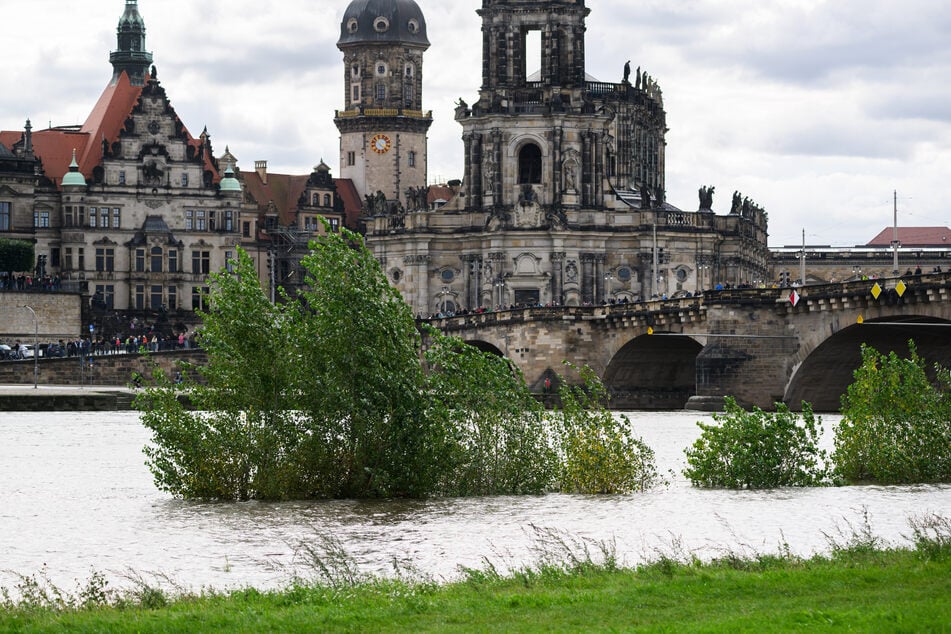 Es kann nicht ausgeschlossen werden, dass die Elbe in Dresden über sieben Meter steigt.