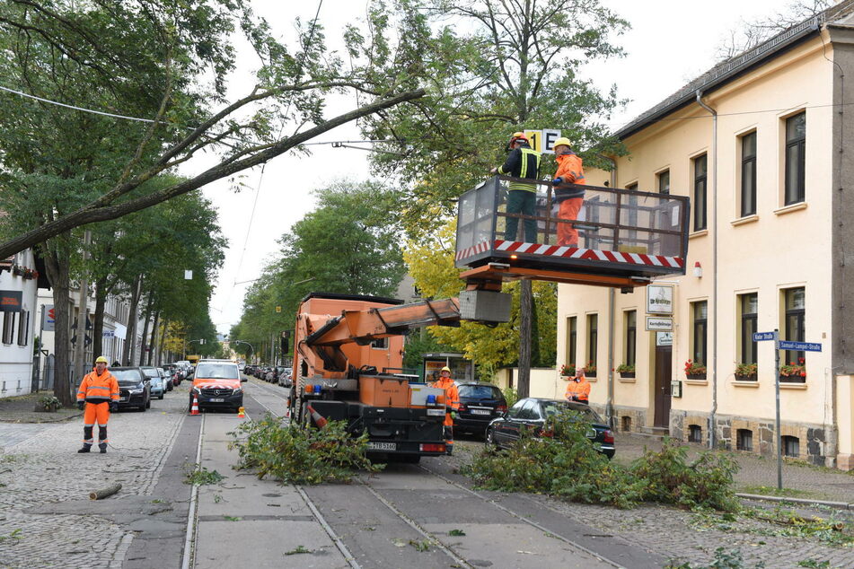 Durch das Unwetter kippten zahlreiche Bäume um, wodurch ein großflächiger Stromausfall ausgelöst wurde.
