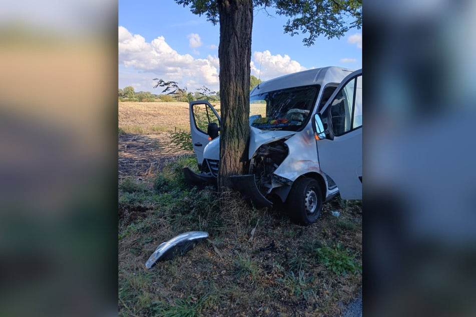 Der Aufprall schob den Honda in einen Baum am Straßenrand.