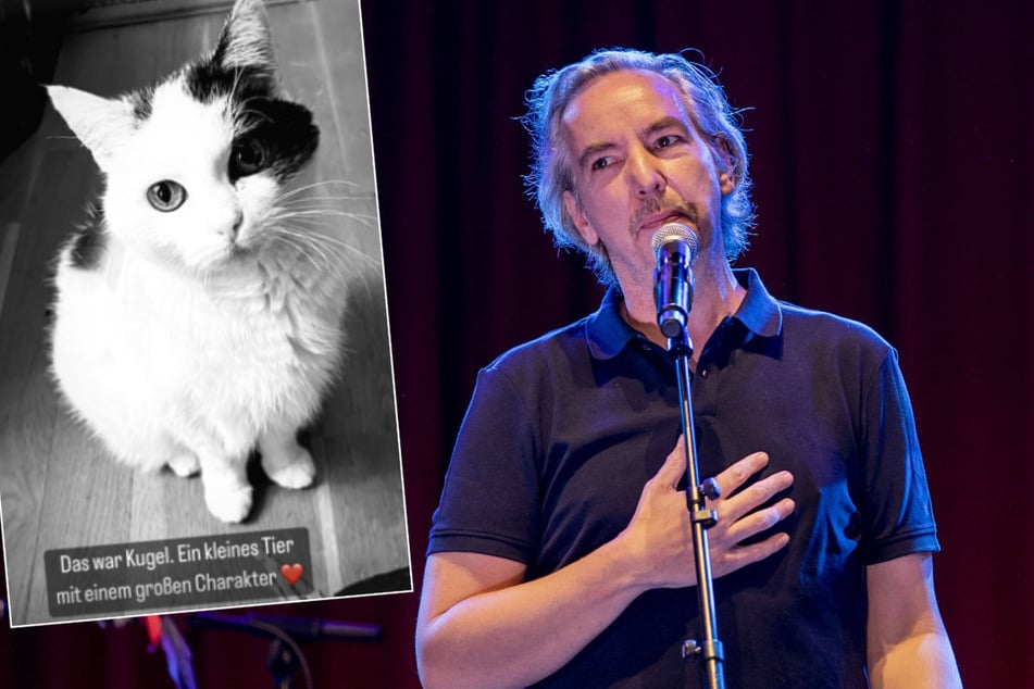 Olli Schulz (73) veröffentlichte eine Schwarz-Weiß-Aufnahme seiner Katze "Kugel".