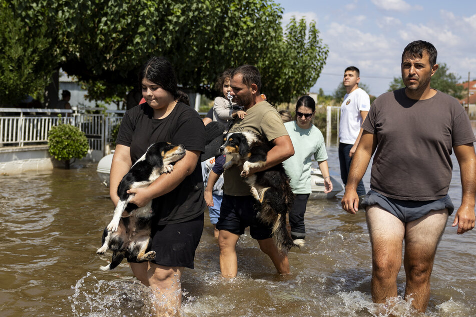 Evakuierte tragen im überschwemmten griechischen Ort ihre Hunde durch die Fluten.