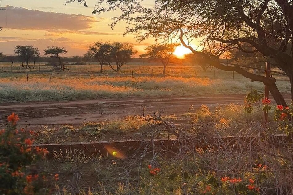 So idyllisch das Leben in Namibia auch scheint – es birgt auch seine Gefahren.