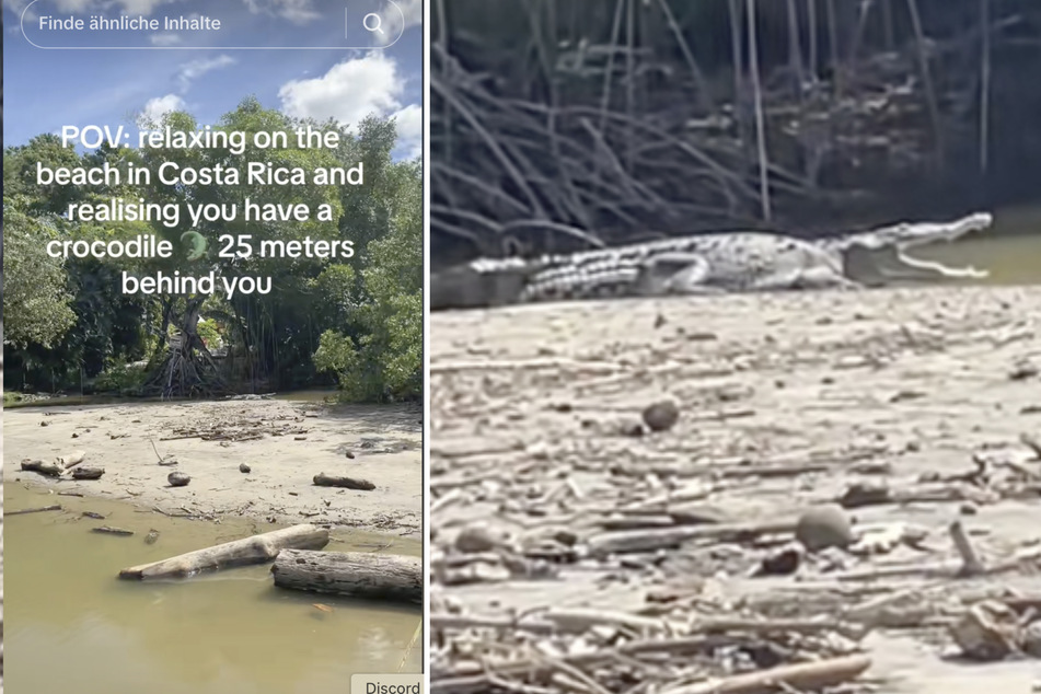 Hinter der Touristin hatte es sich ein Krokodil in der Sonne gemütlich gemacht.