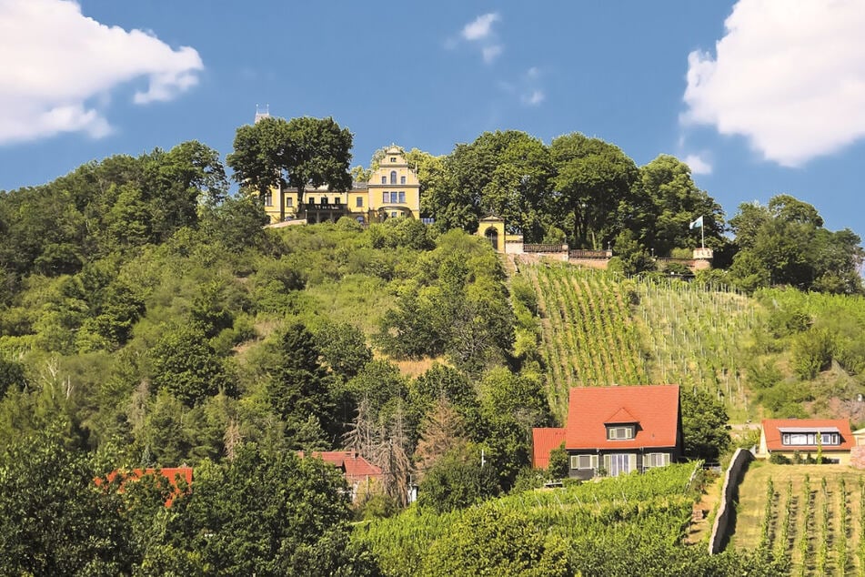 Das Schloss Wettinhöhe steht hoch über den Radebeuler Weinbergen.