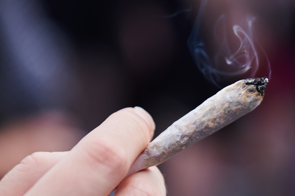 So verläuft die Cannabis-Legalisierung in Sachsen-Anhalt!