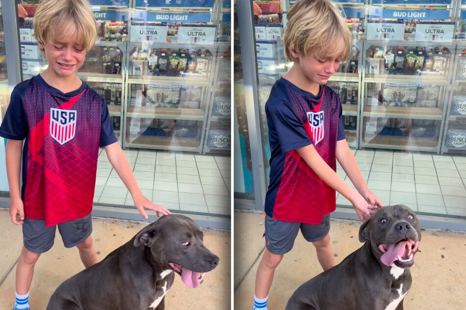 Junge weint bittere Tränen, als er diesen Hund sieht: Die Geschichte dahinter geht so vielen ans Herz
