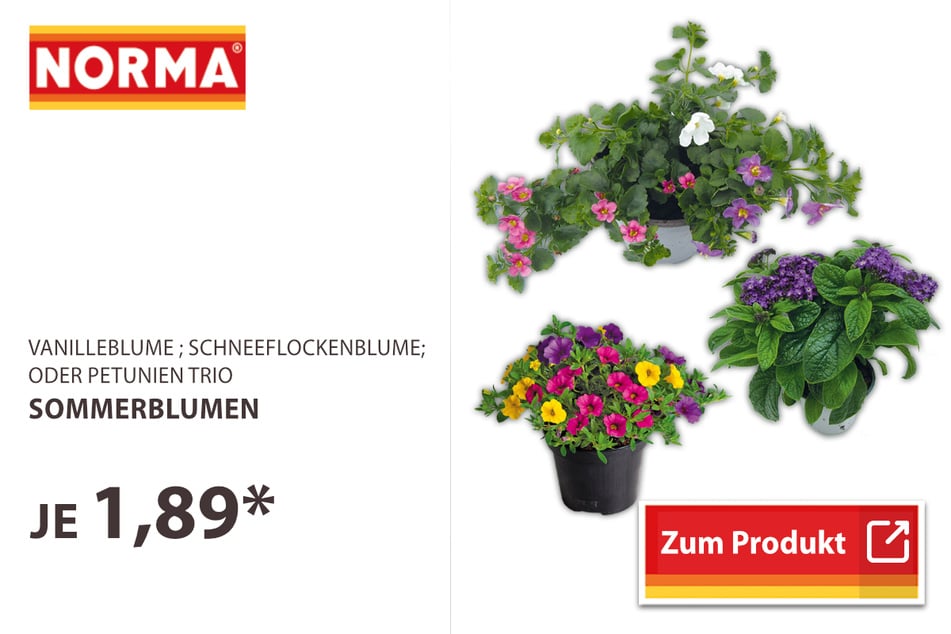 Sommerblumen