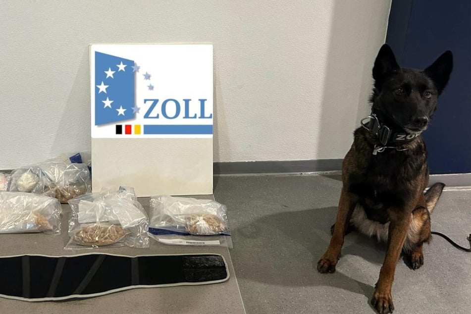 Stolz sitzt Hündin Siri neben ihrem Fund vom ZOB in München.