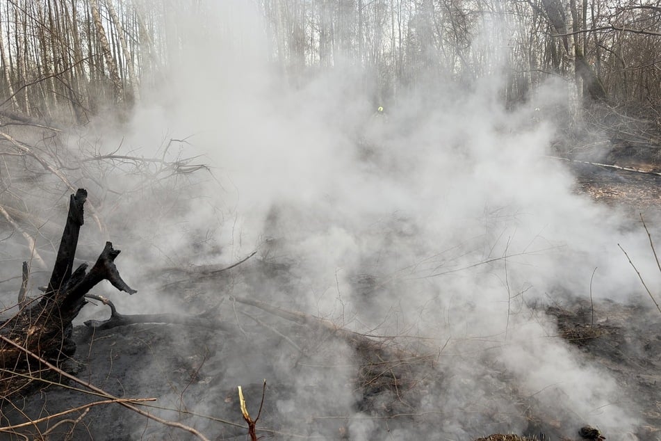 Auf circa 250 Quadratmetern brannte ein unterirdisches Kohleflöz.