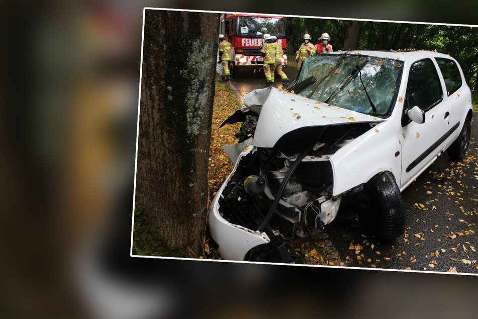 21-Jähriger kracht mit Renault frontal gegen Baum