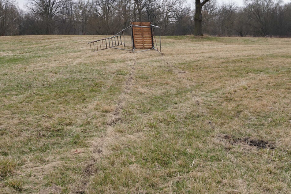 Die Fahrspuren im Feld deuten darauf hin, dass die Hochstände mit einem Fahrzeug umgerissen wurden.