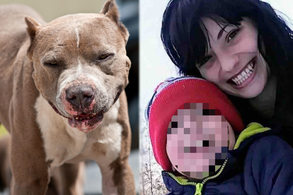 Mutter will ausgesetztem Hund Chance geben: Der tötet ihren Sohn (†6)