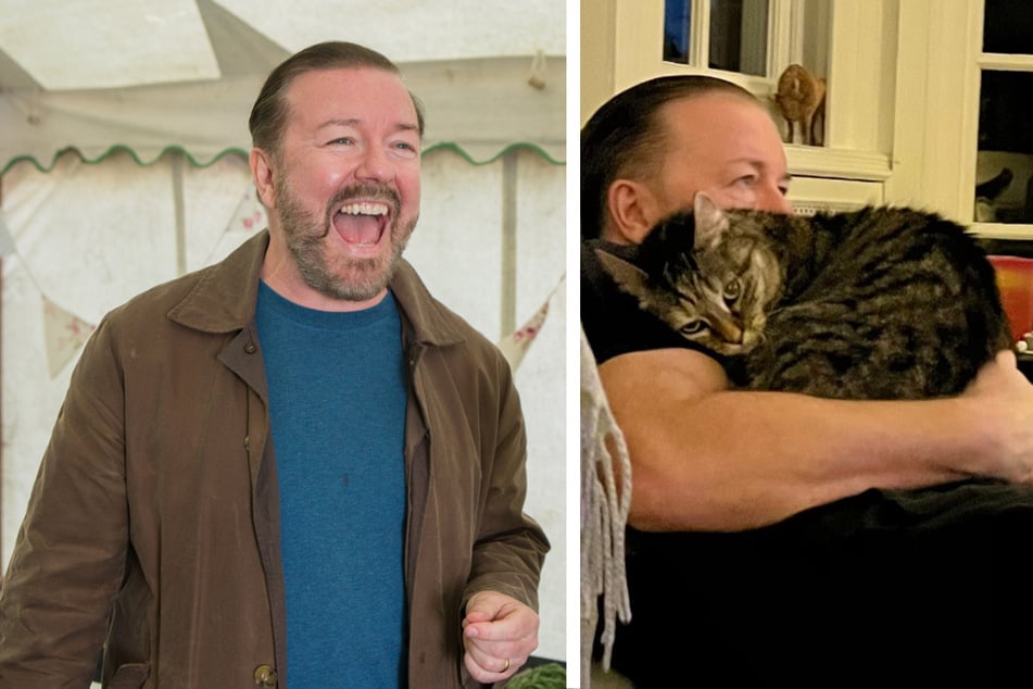 Komiker Ricky Gervais lässt Stars im Regen stehen und kuschelt lieber mit seiner Katze