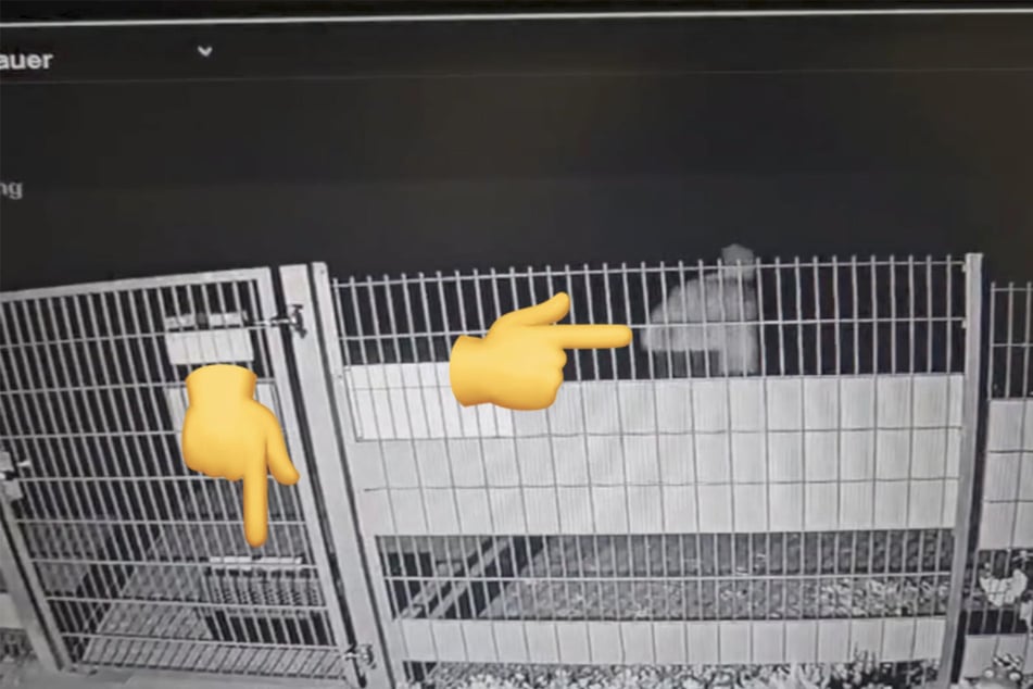 Aufnahmen einer Überwachungskamera zeigen, wie die Box von einem Mann abgestellt wird.