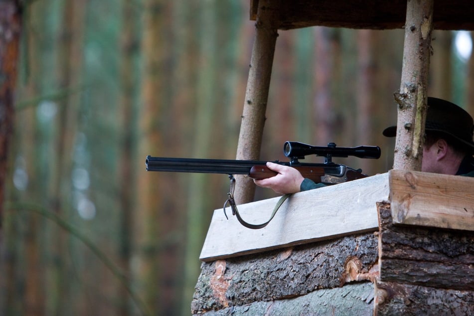 Ein typischer Jagdstand, aus dem der Jäger aus sicherer Entfernung Wildtiere erlegen kann.